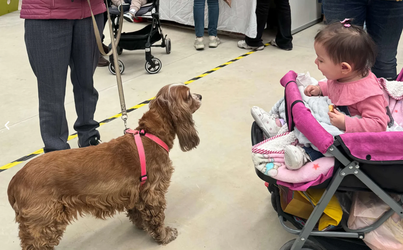 Una bebé y un perro compartiendo un momento real en FamyFest