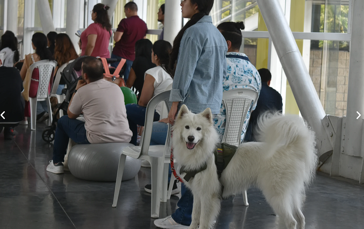 Familias y mascotas asistiendo juntas a una conferencia